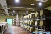 umidificazione_cantine_vinicole_2